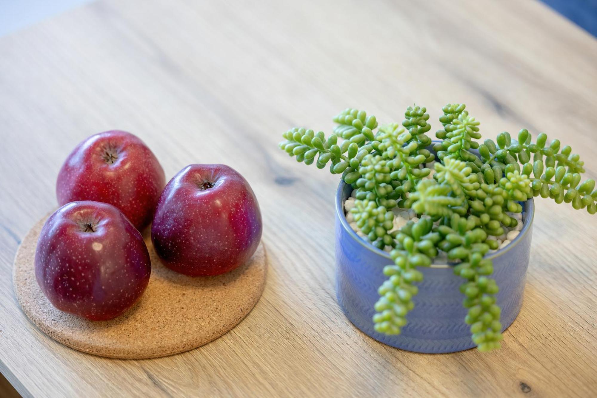 Prestizowe Apartamenty Natural Darlowko By Noclegi Renters Ujście-Darłowskie Esterno foto